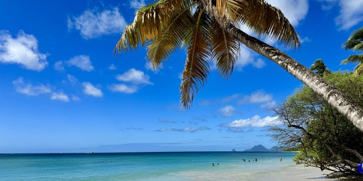 How to Get to Les Salines Beach – the Best Beach in Martinique