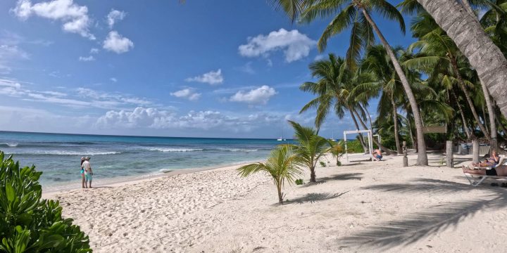 Saona Island Cruise Excursion, Dominican Republic