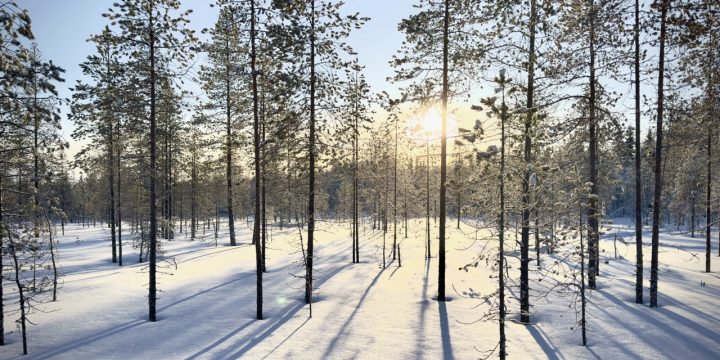 Lapland 5-night holiday itinerary